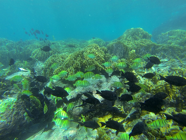 Hanamoenoa Bay 