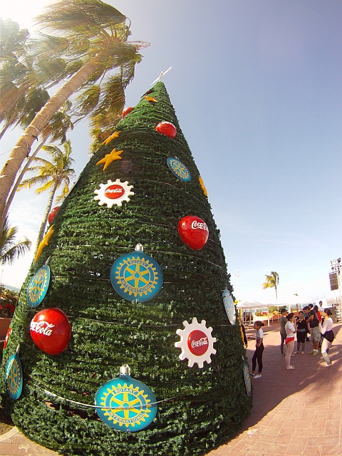 Christmas Tree in La Paz Mexico