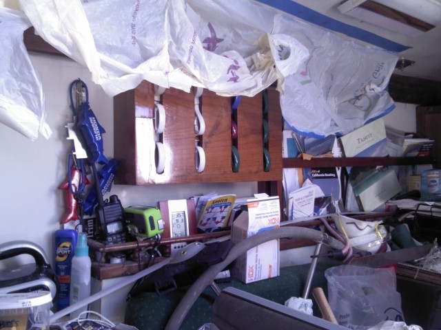 Green Panther messy cabin
